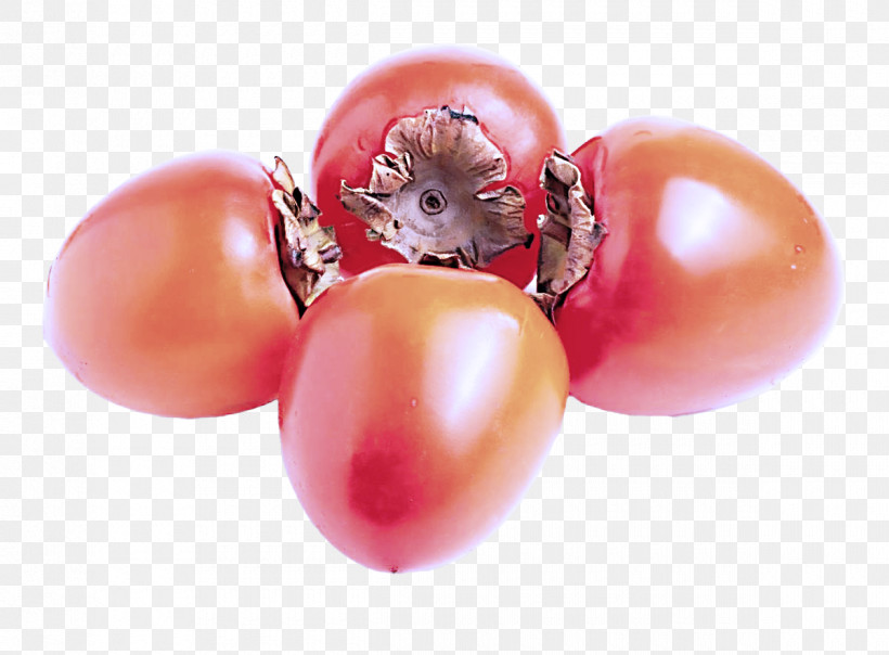 Tomato, PNG, 1200x885px, Plant, Biology, Closeup, Cranberry, Datterino Tomato Download Free