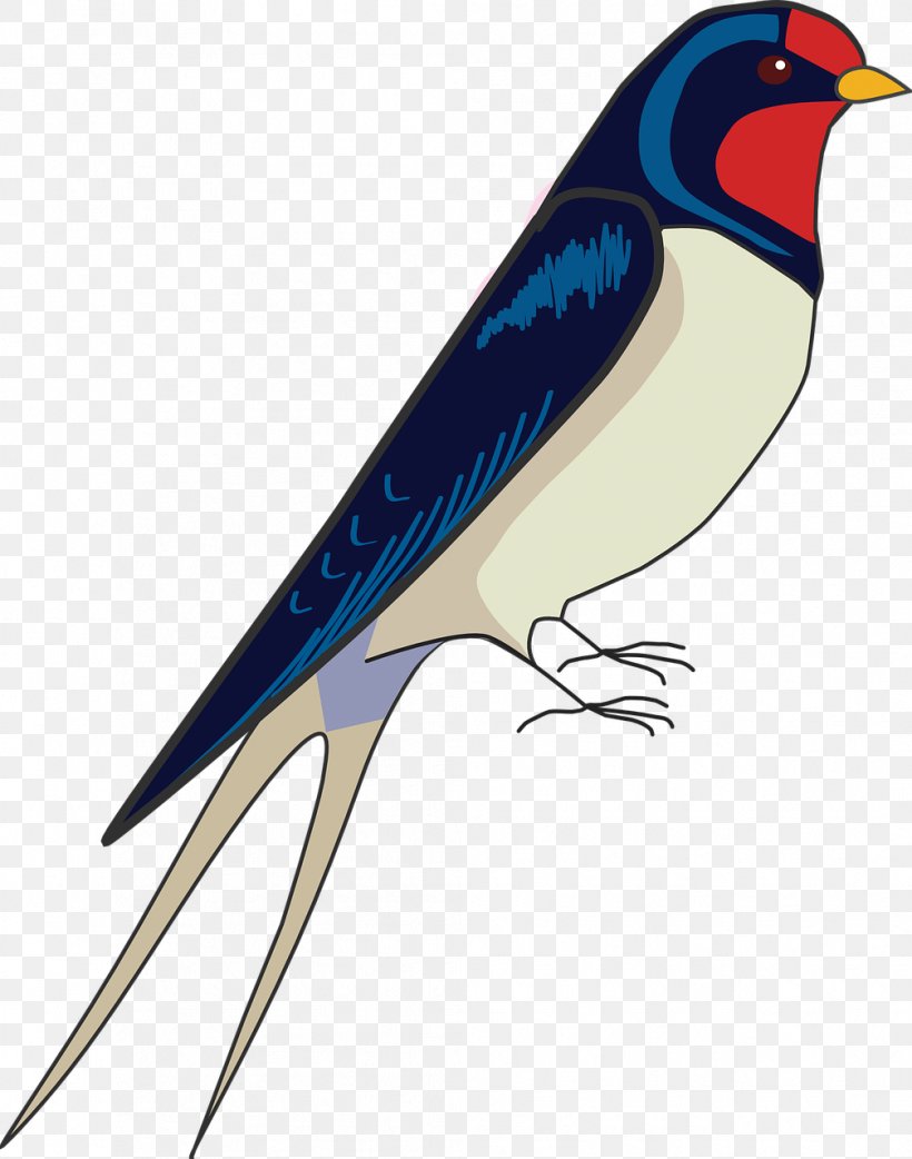 Barn Swallow Bird Drawing, PNG, 1007x1280px, Swallow, Animal, Art, Barn Swallow, Beak Download Free