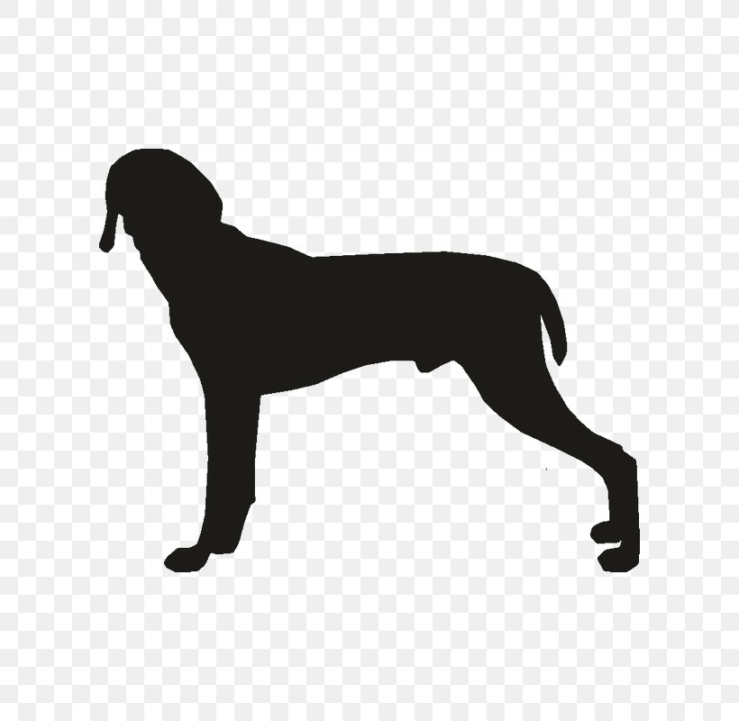 Dog Breed Puppy Weimaraner Sporting Group Vizsla, PNG, 800x800px, Dog Breed, Black, Black And White, Breed, Carnivoran Download Free