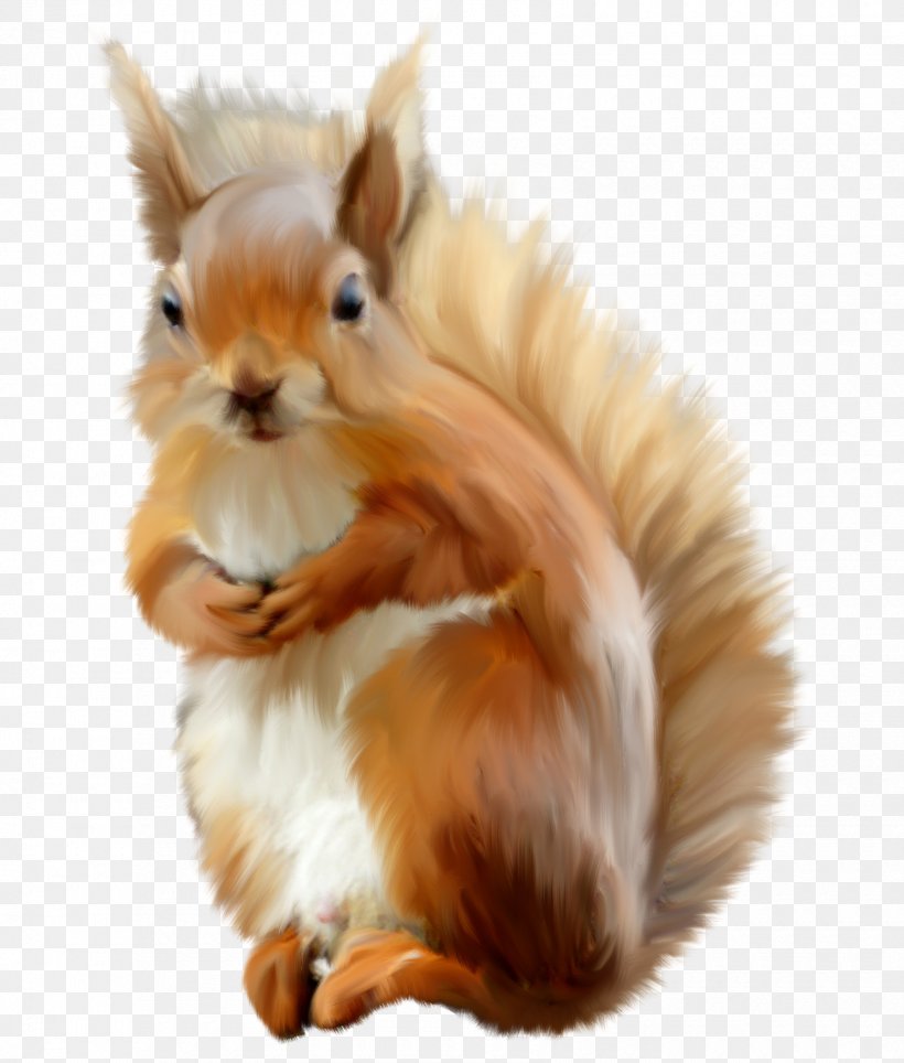 Eastern Gray Squirrel Photography Clip Art, PNG, 1700x2000px, Eastern Gray Squirrel, Animal, Fauna, Fur, Image File Formats Download Free