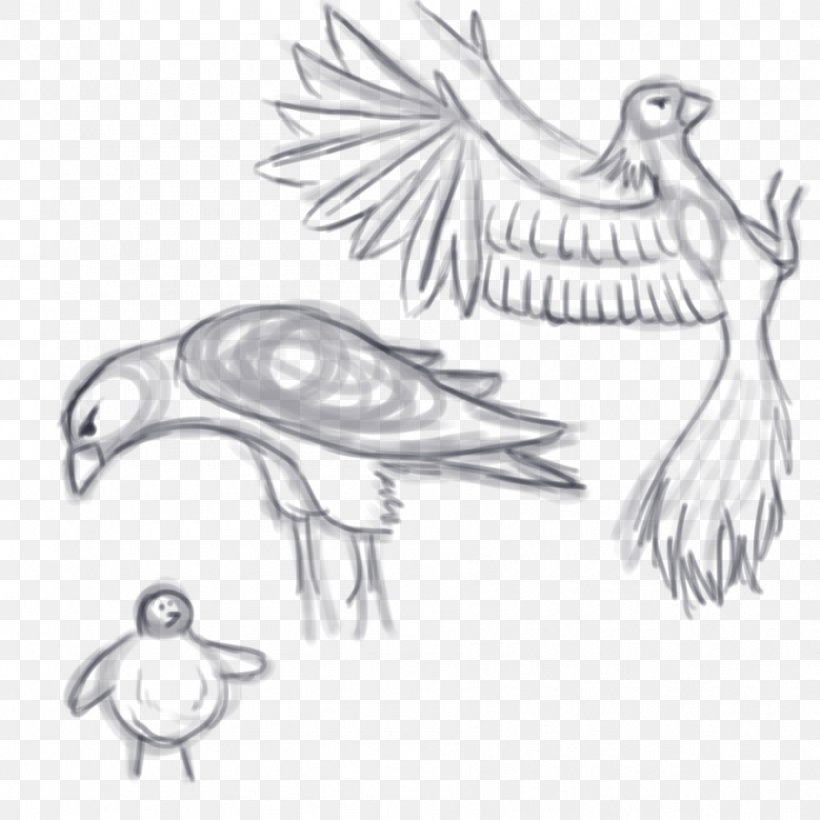 Feather Bird Drawing Art Sketch, PNG, 894x894px, Feather, Art, Artist, Artwork, Beak Download Free