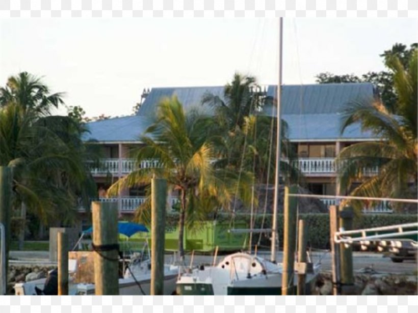 Florida Keys Coral Lagoon Resort Villas & Marina By KeysCaribbean Bahia Honda Key Banana Bay Resort & Marina, PNG, 1024x768px, Florida Keys, Apartment, Arecales, Bahia Honda Key, Beach Download Free