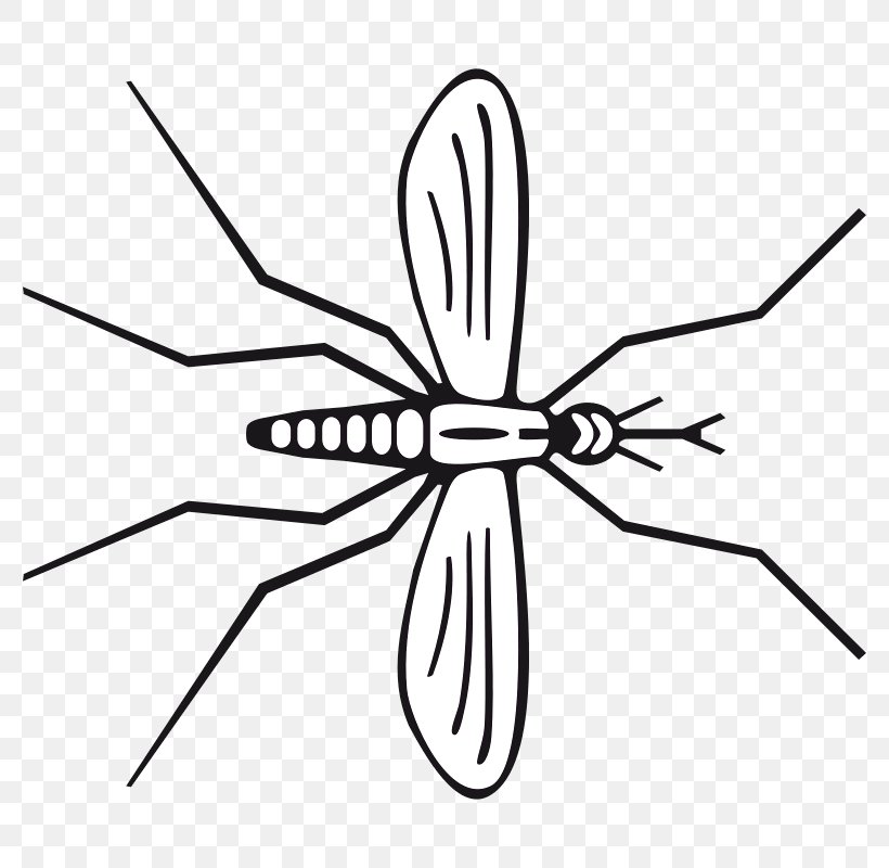 Mosquito Insect Pollinator Line Art Clip Art, PNG, 800x800px, Mosquito, Artwork, Black And White, Insect, Invertebrate Download Free