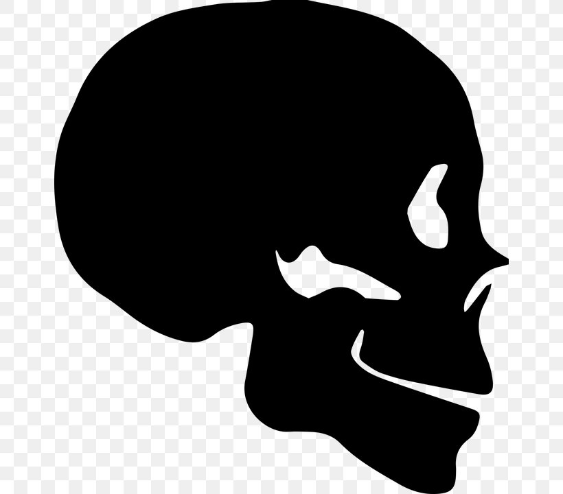 Skull Silhouette Bone Human Skeleton, PNG, 662x720px, Skull, Black, Black And White, Bone, Death Download Free
