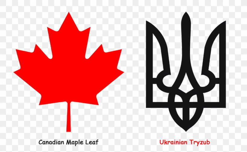 Flag Of Canada Maple Leaf Flag Of The United States, PNG, 950x583px, Canada, Flag, Flag Of Canada, Flag Of The United States, Flower Download Free
