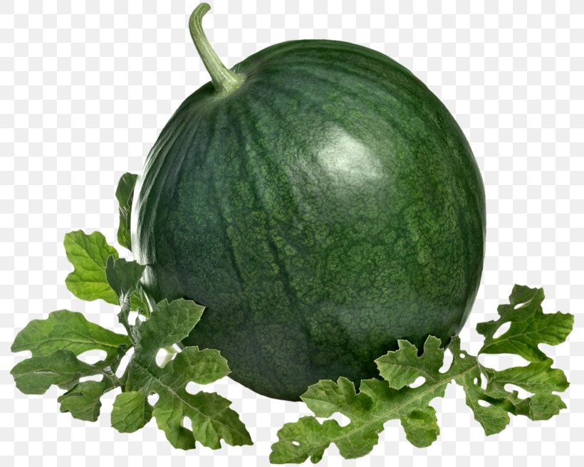 Watermelon Citrullus Lanatus Cassava Clip Art, PNG, 800x656px, Watermelon, Cassava, Citrullus, Citrullus Lanatus, Cucumber Gourd And Melon Family Download Free