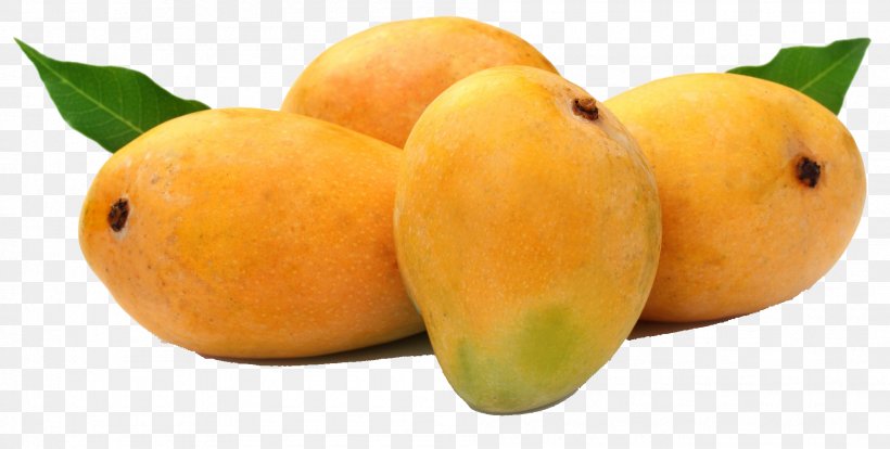 Alphonso Mango Fruit Devgad Taluka Organic Food, PNG, 1901x960px, Alphonso, Apricot, Citrus, Cultivar, Devgad Taluka Download Free