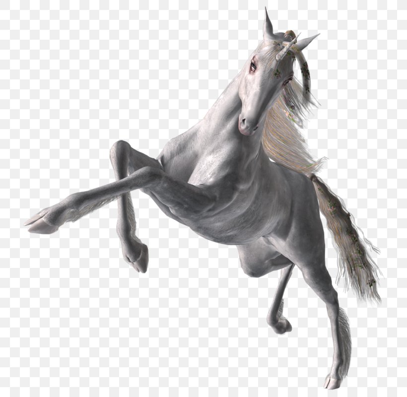Horse Halter Mane Stallion Unicorn, PNG, 800x800px, 3d Computer Graphics, Horse, Animal, Blog, Bridle Download Free