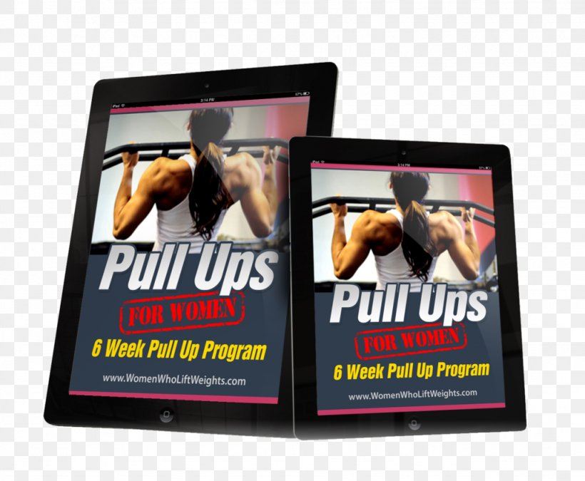 Weight Training Pull-up Display Advertising Poster, PNG, 1024x844px, Weight Training, Advertising, Bar, Brand, Coach Download Free