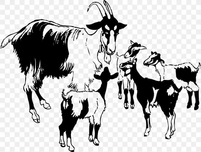 Black Bengal Goat Boer Goat Sheep Clip Art, PNG, 2500x1894px, Black Bengal Goat, Art, Black And White, Boer Goat, Bull Download Free