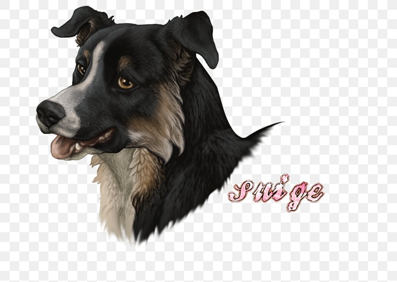 Border Collie Dog Breed Rough Collie Art Museum Companion Dog, PNG, 700x583px, Border Collie, Art, Art Museum, Breed, Carnivoran Download Free