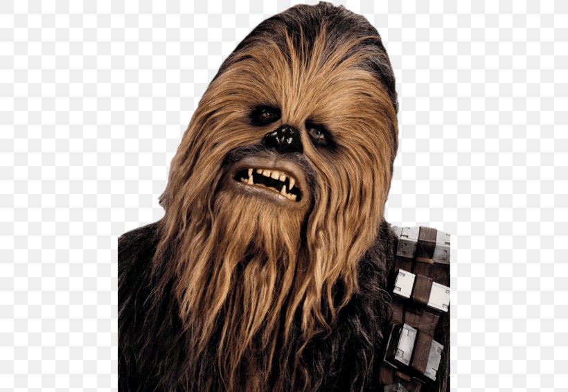 Chewbacca Star Wars Han Solo Leia Organa, PNG, 480x566px, Chewbacca, Anakin Skywalker, Dog Breed, Fictional Character, Fur Download Free