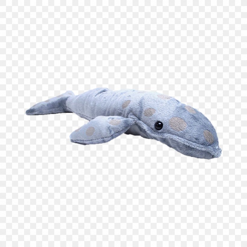 Dolphin Stuffed Animals & Cuddly Toys Porpoise Cetacea Marine Biology, PNG, 1000x1000px, Dolphin, Barnacle, Biology, Cetacea, Fauna Download Free