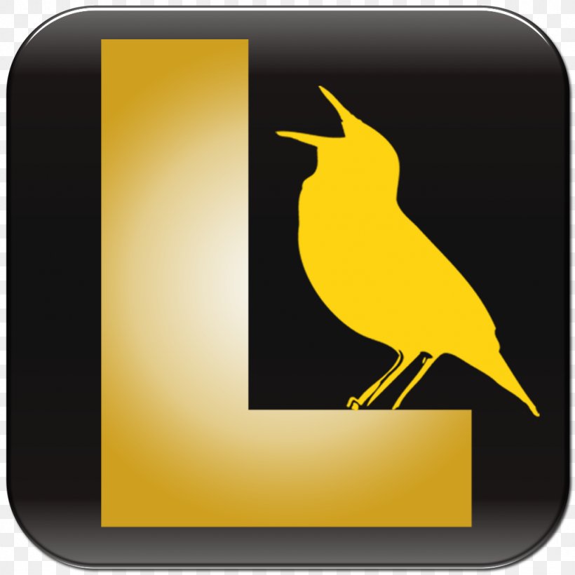 Bird Vocalization Beak Birdwatching Song, PNG, 1024x1024px, Bird, App Store, Apple, Beak, Bird Vocalization Download Free