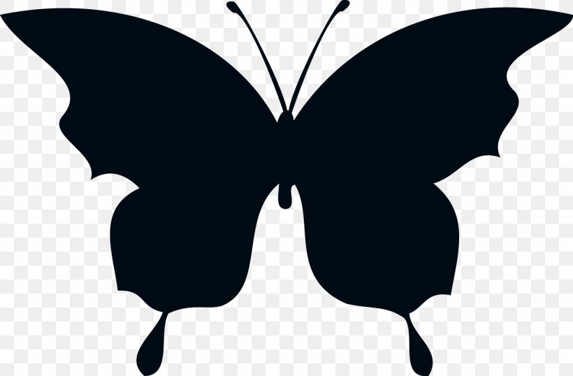 Butterfly Silhouette Drawing Clip Art, PNG, 1565x1027px, Butterfly, Arthropod, Black, Black And White, Brush Footed Butterfly Download Free
