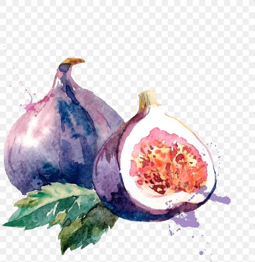 Common Fig Watercolor Painting Drawing Illustration, PNG, 971x1000px, Common Fig, Drawing, Fig Wasp, Flower, Food Download Free