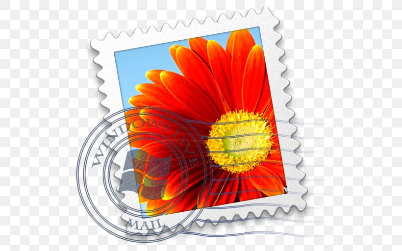 Flower Petal Daisy Family Orange Gerbera, PNG, 512x512px, Outlookcom, Daisy Family, Email, Flower, Flowering Plant Download Free