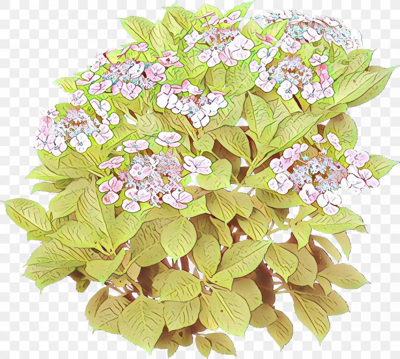 Flower Plant Flowering Plant Lilac Hydrangeaceae, PNG, 1199x1079px, Cartoon, Bouquet, Cornales, Cut Flowers, Flower Download Free