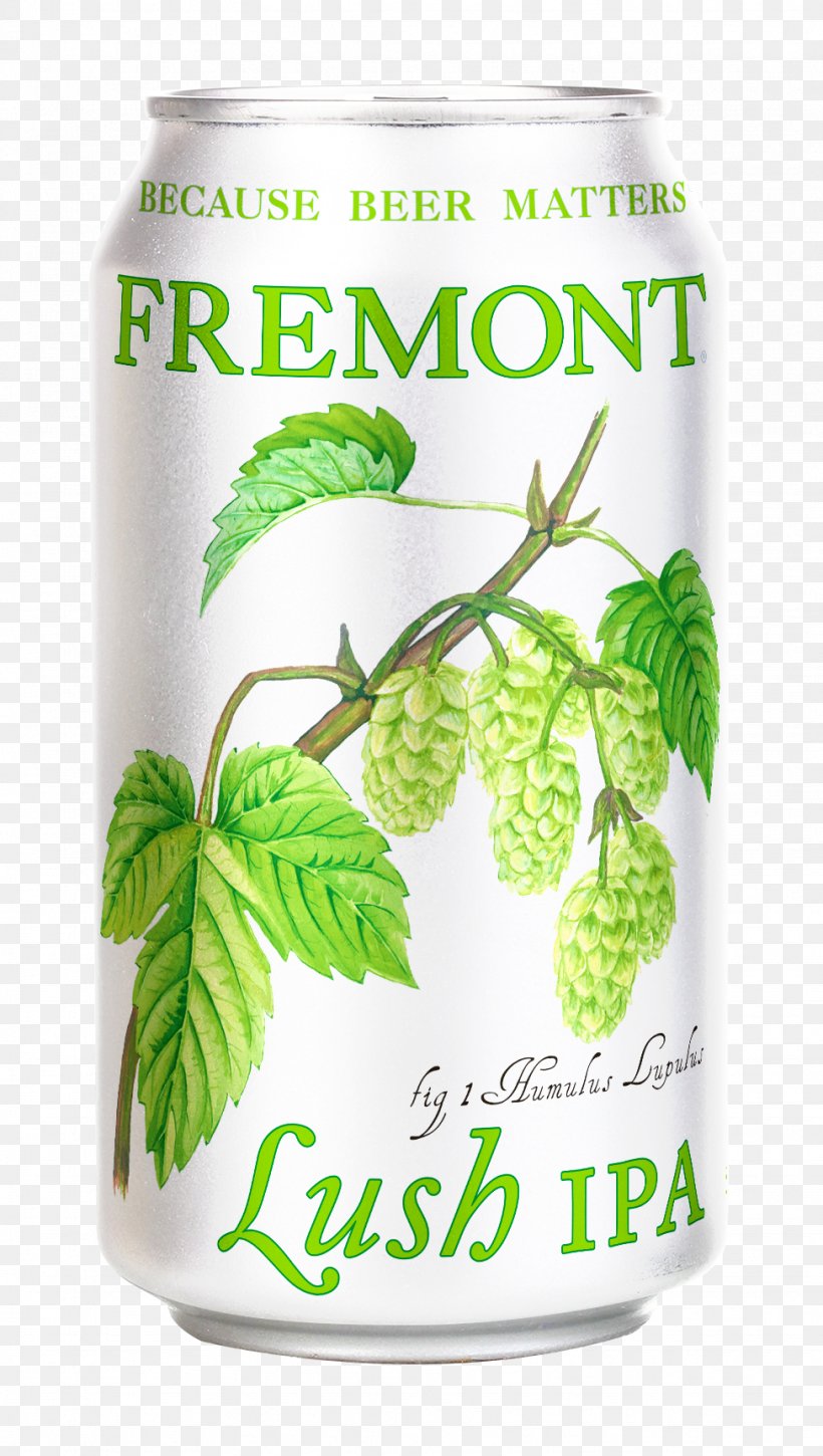 India Pale Ale Beer Fremont Founder's All Day IPA Founders Brewing Company, PNG, 975x1725px, India Pale Ale, Alcohol By Volume, Alcoholic Beverages, Beer, Beer Brewing Grains Malts Download Free