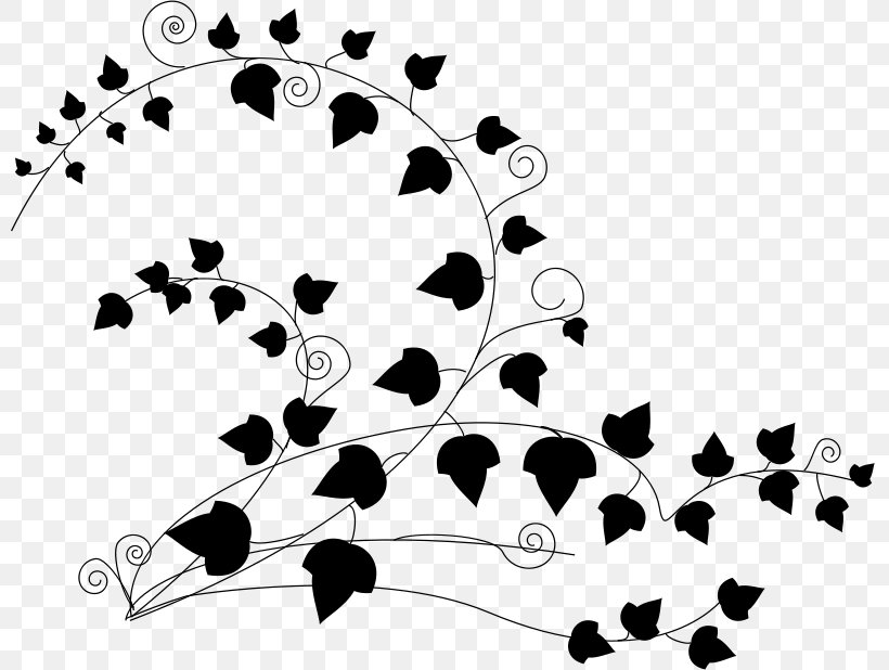 Poison Ivy Clip Art, PNG, 800x618px, Ivy, Black, Black And White, Branch, Drawing Download Free