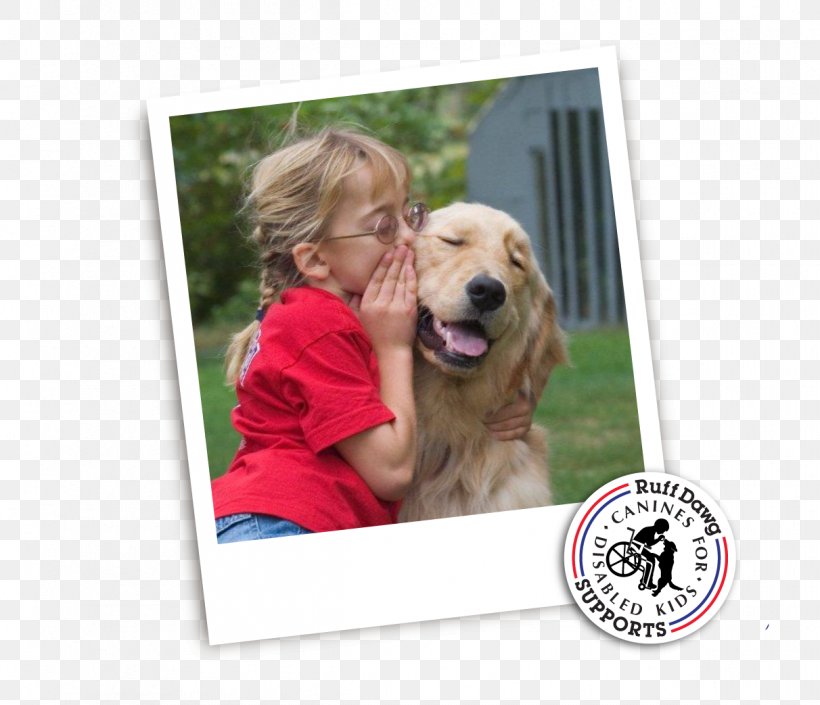 Golden Retriever Puppy Dog Breed Companion Dog, PNG, 1212x1043px, Golden Retriever, Breed, Carnivoran, Companion Dog, Crossbreed Download Free