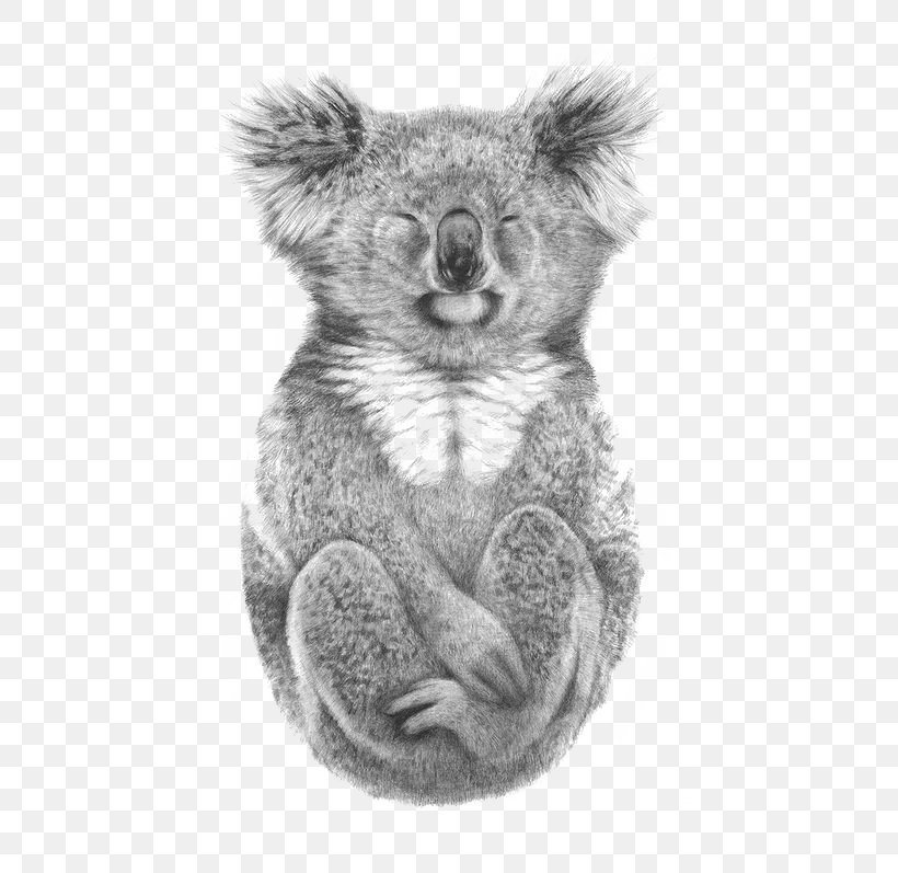 Australia Paper Koala Drawing Printing, PNG, 564x797px, Watercolor, Cartoon, Flower, Frame, Heart Download Free