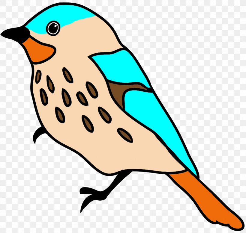 Bird Drawing Art Clip Art, PNG, 1181x1121px, Bird, Art, Artwork, Beak, Color Download Free