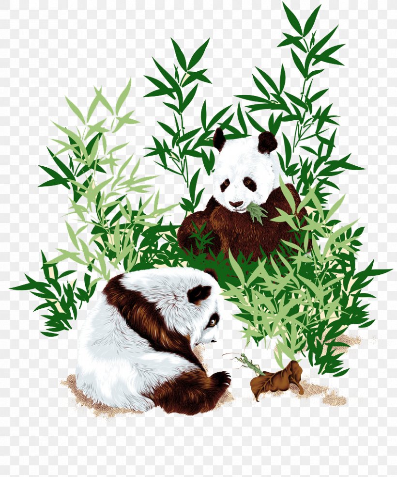 Chinese Cuisine Panda West Chinese Restaurant Giant Panda Bamboo, PNG, 853x1024px, Chinese Cuisine, Bamboo, Bamboo Shoot, Bear, Carnivoran Download Free