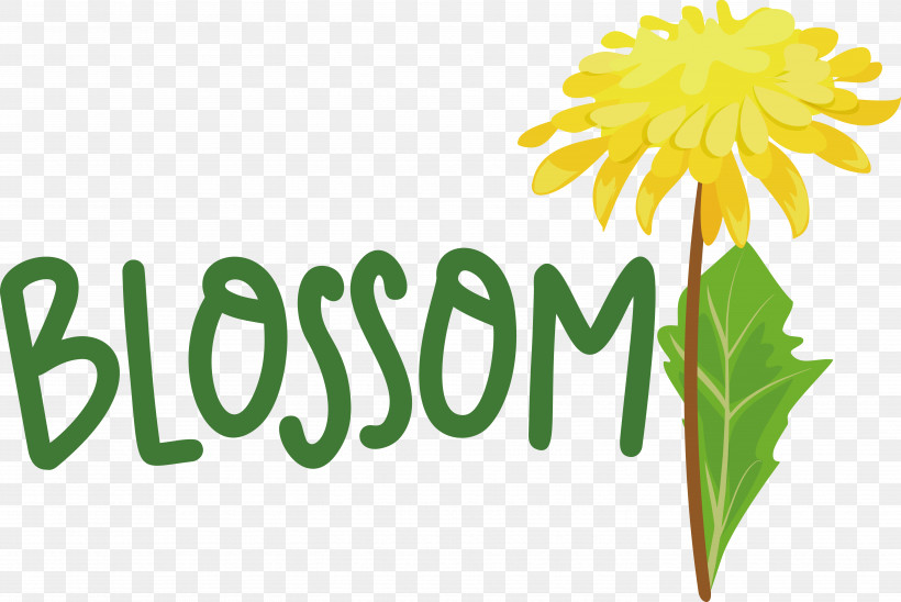 Dandelions Plant Stem Flower Logo Cut Flowers, PNG, 5792x3872px, Dandelions, Chrysanthemum, Cut Flowers, Flower, Logo Download Free