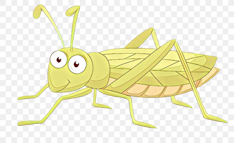 Grasshopper Locust Clip Art Insect Illustration, PNG, 1600x977px,  Grasshopper, Arthropod, Bug, Cartoon, Cricket Download Free