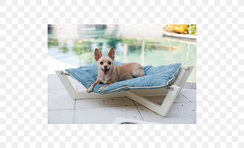 Hammock Dog Breed French Bulldog Chihuahua Sunlounger, PNG, 500x500px, Hammock, Bed, Chihuahua, Collar, Couch Download Free