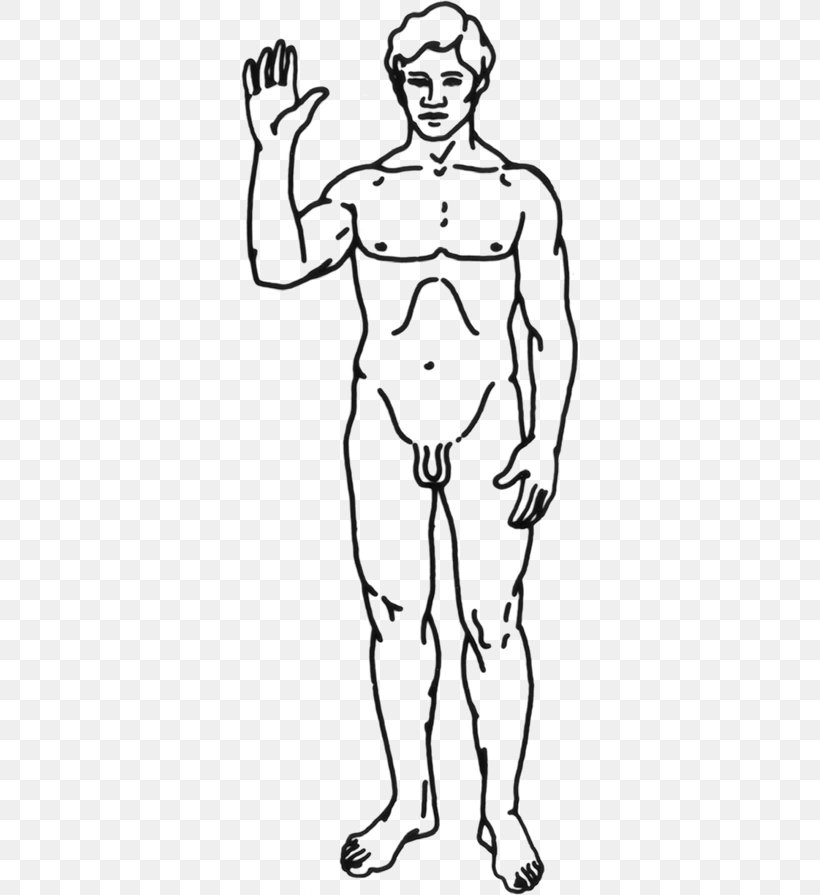 Homo Sapiens Human Body Clip Art, PNG, 337x895px, Watercolor, Cartoon, Flower, Frame, Heart Download Free