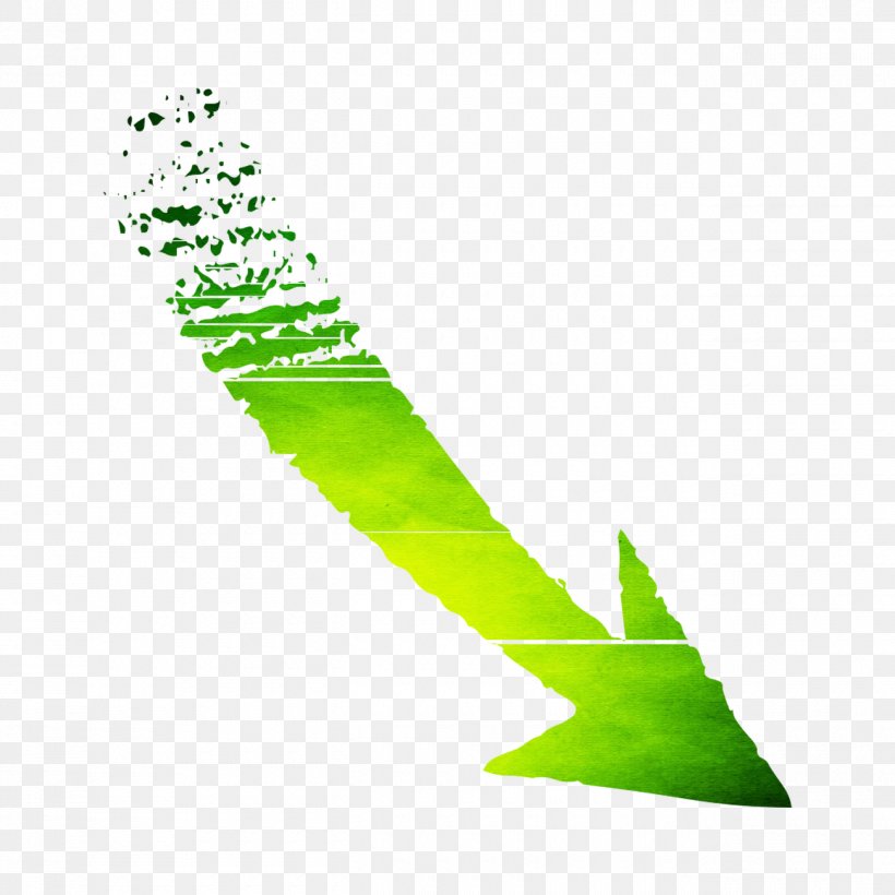 Line Angle Leaf Shoe Graphics, PNG, 1300x1300px, Leaf, Green, Plant, Shoe Download Free