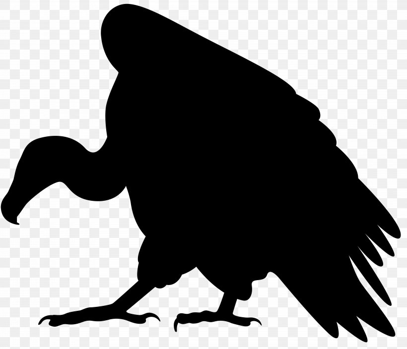 Vulture Silhouette Clip Art, PNG, 8000x6874px, Vulture, Artwork, Beak, Bird, Black And White Download Free
