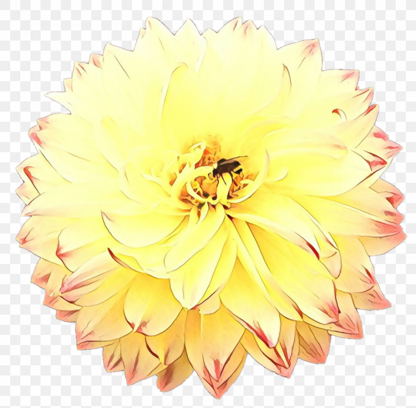 Artificial Flower, PNG, 902x885px, Yellow, Artificial Flower, Cut Flowers, Dahlia, Flower Download Free