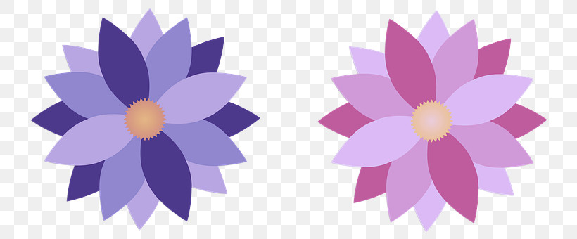 Floral Design, PNG, 762x340px, Cut Flowers, Floral Design, Flower, Geometry, Lavender Download Free