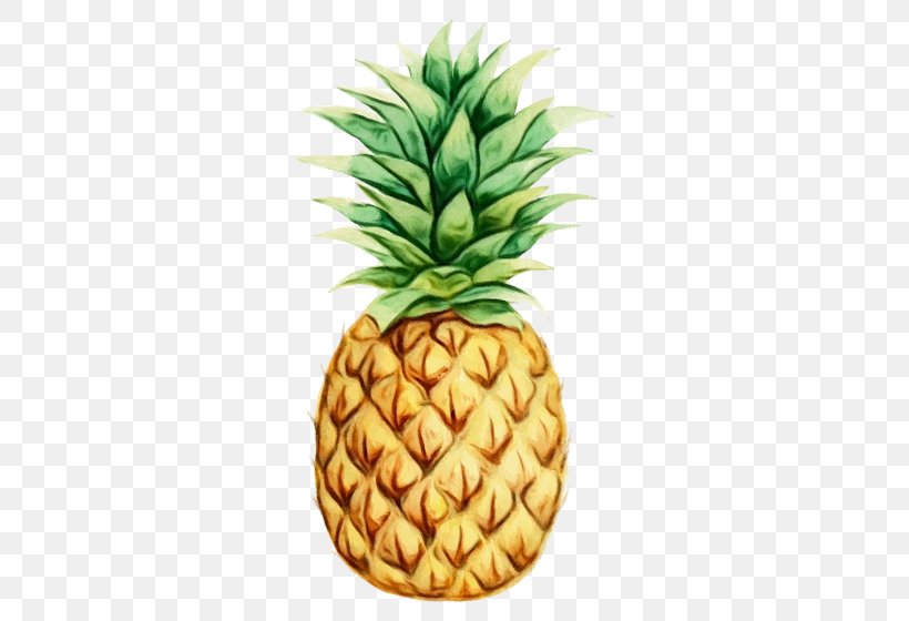 Watercolor Tropical, PNG, 560x560px, Watercolor, Ananas, Drawing, Food, Fruit Download Free
