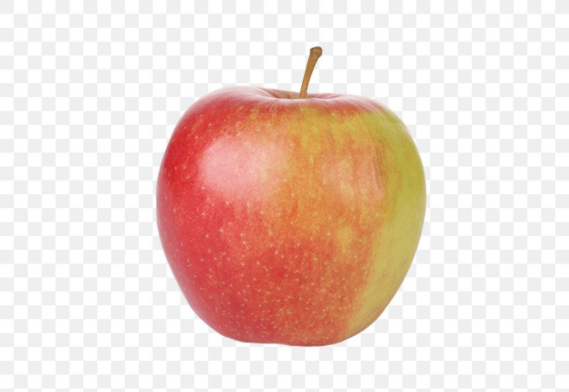 Apple Jonagold Food Maribelle Accessory Fruit, PNG, 557x565px, Apple, Accessory Fruit, Chicken As Food, Culinair Creatief, Culinary Arts Download Free