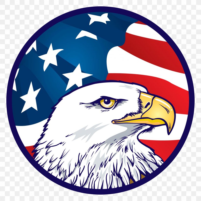 Bald Eagle Flag Of The United States American Eagle Outfitters Clip Art, PNG, 3300x3300px, Bald Eagle, American Eagle Outfitters, Beak, Eagle, Flag Of The United States Download Free