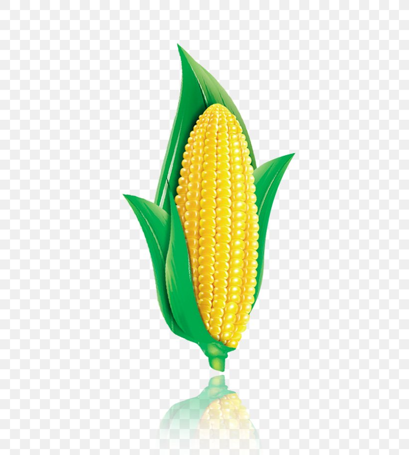 Corn On The Cob Corn Flakes Maize Corn Chip, PNG, 596x912px, Corn On The Cob, Commodity, Corn Chip, Corn Flakes, Food Download Free
