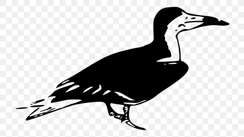 Download Clip Art, PNG, 800x463px, Blog, Beak, Bird, Black And White, Duck Download Free