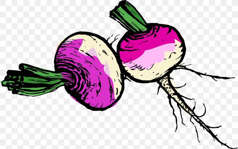 Turnip Vegetable Potato Rutabaga Clip Art, PNG, 1132x709px, Watercolor, Cartoon, Flower, Frame, Heart Download Free