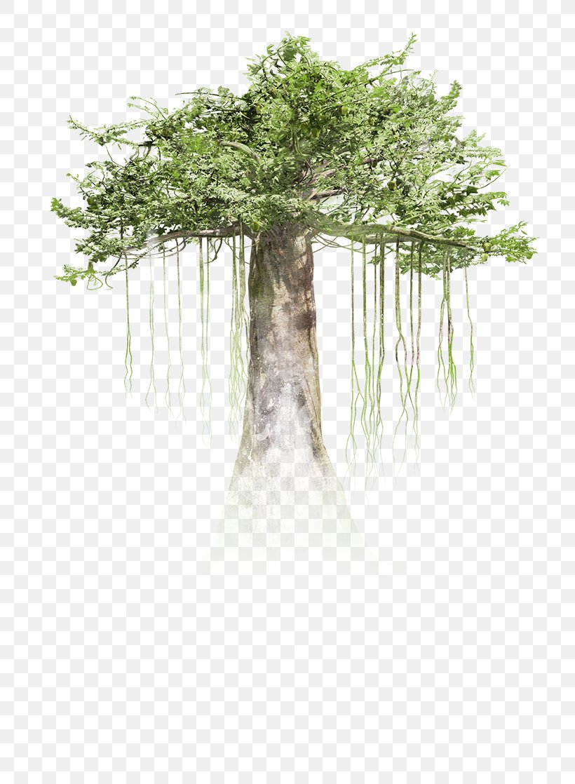 Virtual Reality Tree HTC Vive Immersion Trunk, PNG, 749x1118px, Virtual Reality, Amc Theatres, Augmented Reality, Branch, Bucida Buceras Download Free