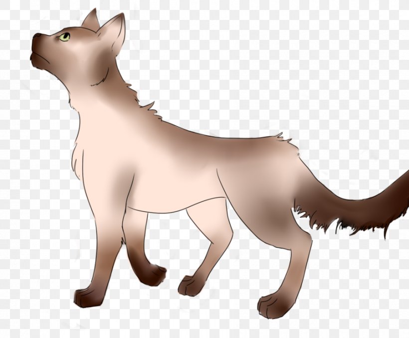 Whiskers Cat Dog Breed Snout, PNG, 900x745px, Whiskers, Animal, Animal Figure, Animated Cartoon, Breed Download Free