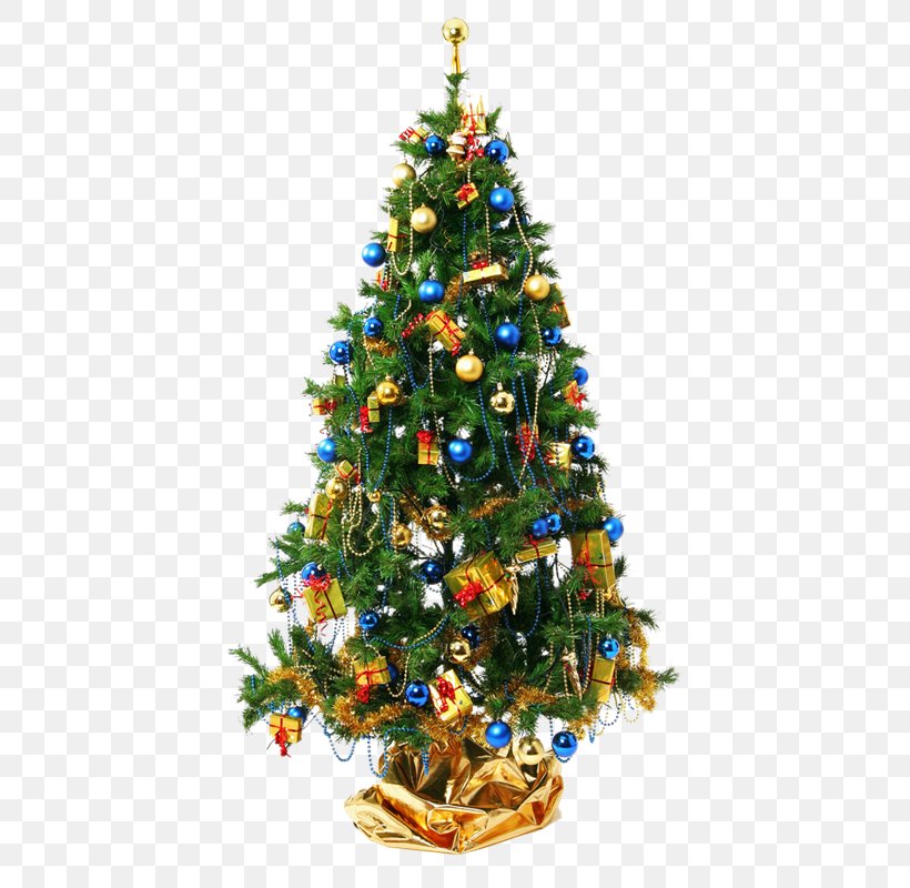 Christmas Tree Christmas Ornament Christmas Decoration Party, PNG, 439x800px, Christmas, Christmas And Holiday Season, Christmas Decoration, Christmas Ornament, Christmas Tree Download Free