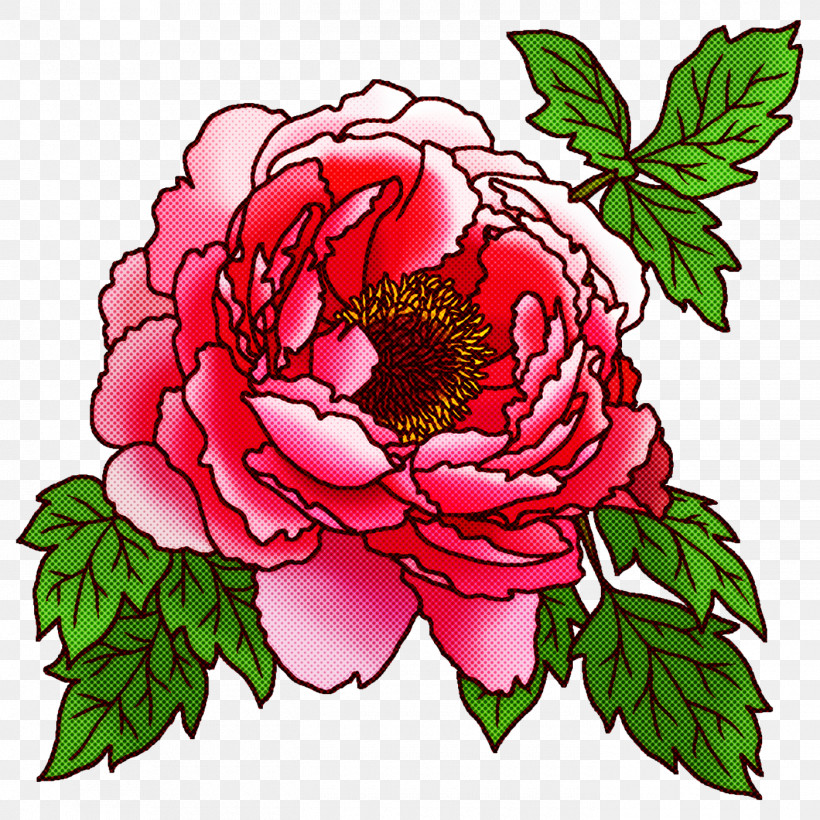 Garden Roses, PNG, 1400x1400px, Garden Roses, Cabbage Rose, Chrysanthemum, Cut Flowers, Floral Design Download Free