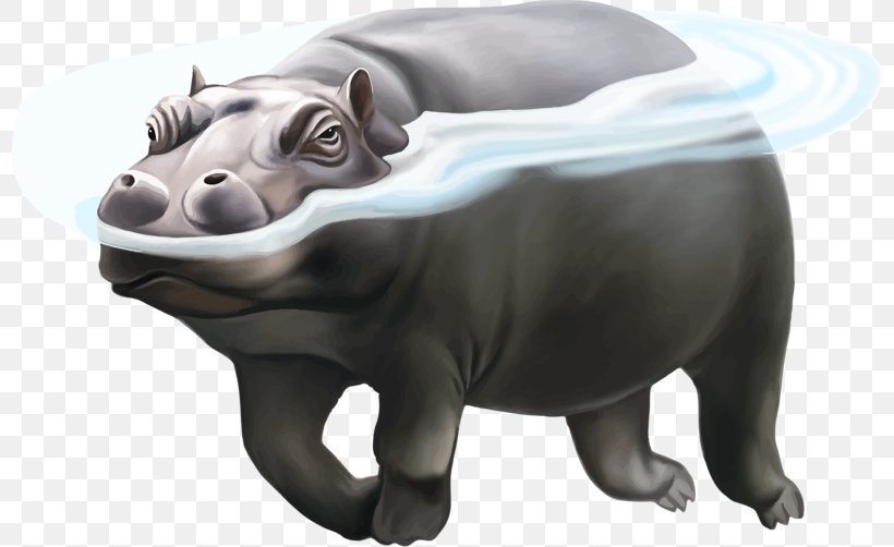 Hippopotamus Rhinoceros Polar Bear Illustration, PNG, 800x502px, Hippopotamus, Animal, Bear, Carnivoran, Drawing Download Free