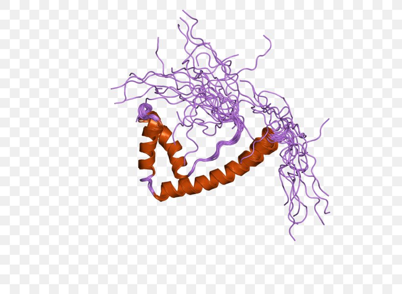 TOX3 High-mobility Group Protein Art, PNG, 800x600px, Tox, Art, Highmobility Group, Organism, Protein Download Free