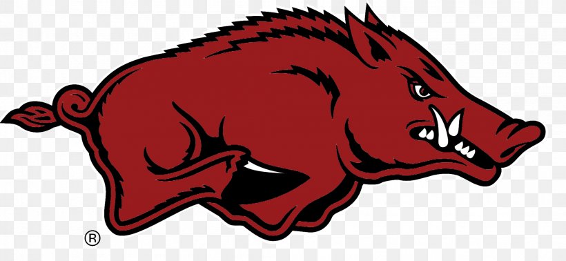 University Of Arkansas Arkansas Razorbacks Men's Basketball Arkansas Razorbacks Football Arkansas Razorbacks Women's Gymnastics Arkansas Razorbacks Women's Basketball, PNG, 2097x967px, University Of Arkansas, American Football, Arkansas, Arkansas Razorbacks, Arkansas Razorbacks Football Download Free