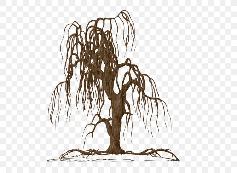 Wall Decal Sticker Tree Weeping Willow, PNG, 600x600px, Wall Decal, Art, Black And White, Branch, Decal Download Free